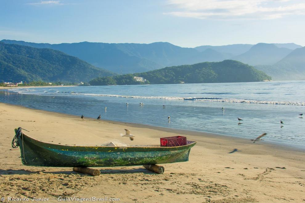 Imagem de pássaros na beira do mar.